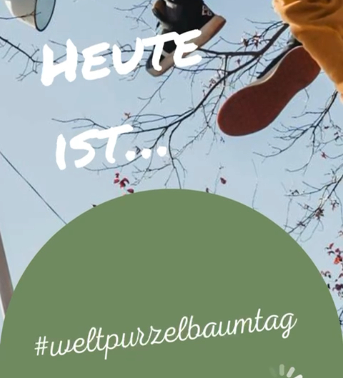 Featured image for “Purzelbäume schlagen”