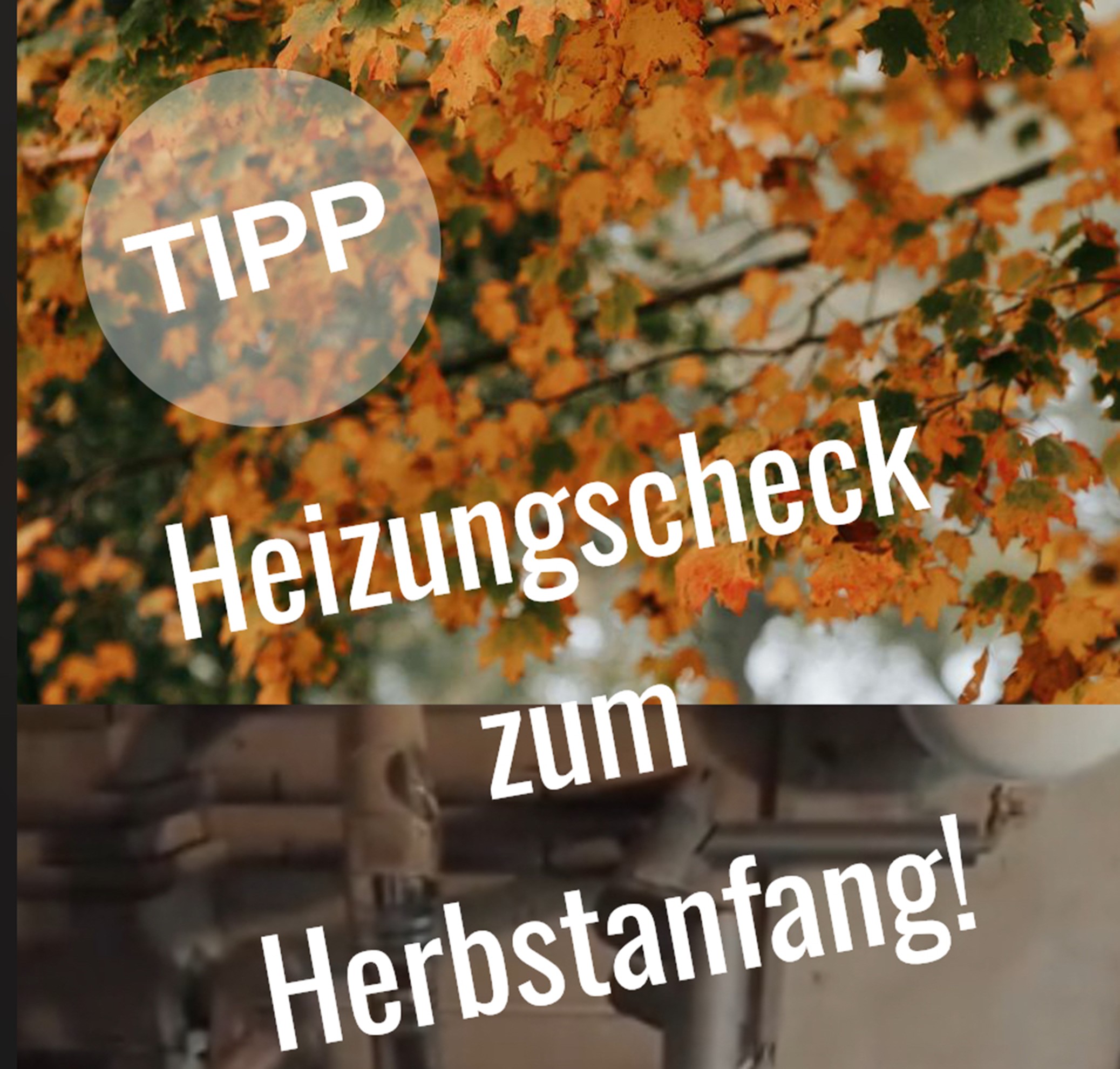 Featured image for “Heizungscheck zum Herbstanfang”