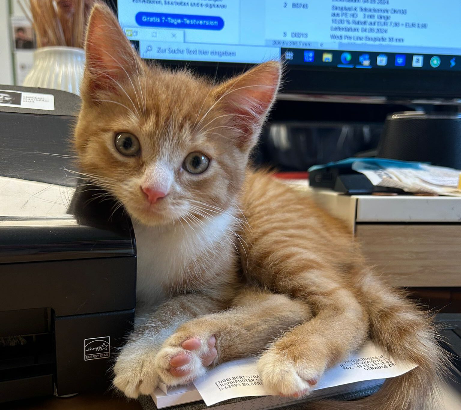 Featured image for “Montagmorgen im Büro”